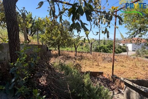 Villa i Serta, Castelo Branco, Serta - € 90.000 | Ref: SO24 - foto 42