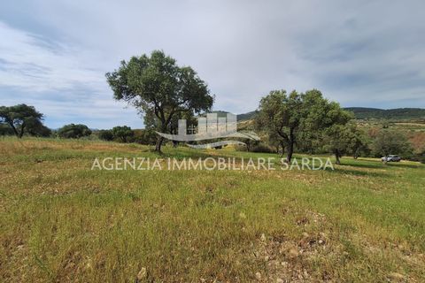 Tomt i Alghero, Sassari, Alghero - € 370 000 | Ref: ALG109 - foto 2