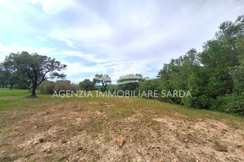 Tomt i Alghero, Sassari, Alghero - € 370 000 | Ref: ALG109 - foto 3
