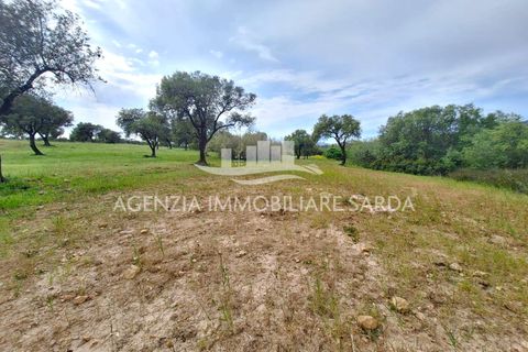 Tomt i Alghero, Sassari, Alghero - € 370 000 | Ref: ALG109 - foto 4