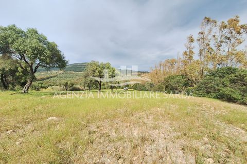 Tomt i Alghero, Sassari, Alghero - € 370 000 | Ref: ALG109 - foto 6