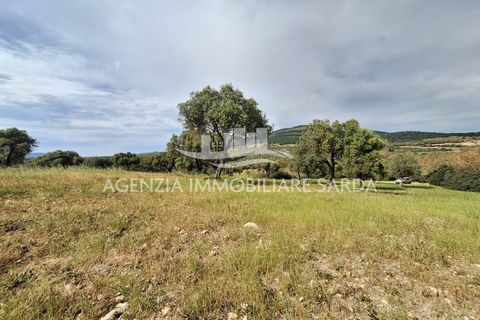 Tomt i Alghero, Sassari, Alghero - € 370 000 | Ref: ALG109 - foto 7