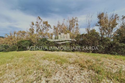Tomt i Alghero, Sassari, Alghero - € 370 000 | Ref: ALG109 - foto 8