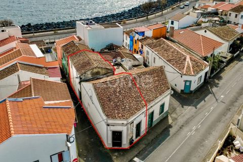 Villa a Sao Roque, Madeira, Sao Roque - € 315.000 | Ref: ZMPT588218 - foto 2