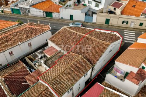 Villa a Sao Roque, Madeira, Sao Roque - € 315.000 | Ref: ZMPT588218 - foto 3