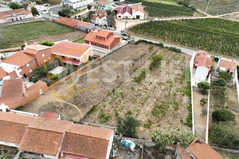 Helårsgrund i Torres Vedras, Lisbon, Torres Vedras - € 350.000 | Ref: 5859WE - foto 8