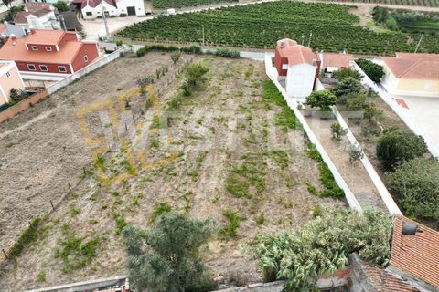 Helårsgrund i Torres Vedras, Lisbon, Torres Vedras - € 350.000 | Ref: 5859WE - foto 13