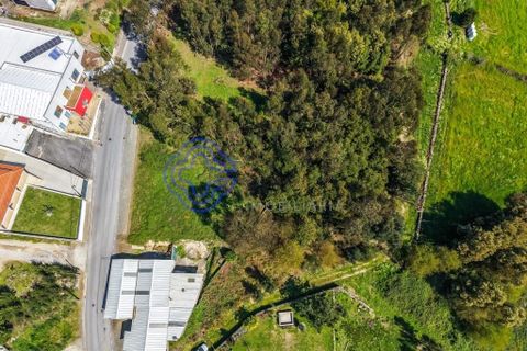 Helårsgrund i Paredes, Porto, Paredes - € 96.900 | Ref: 1125771 - foto 2