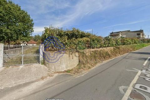 Farm i Lousada, Porto, Lousada - € 735.000 | Ref: 199521 - foto 17