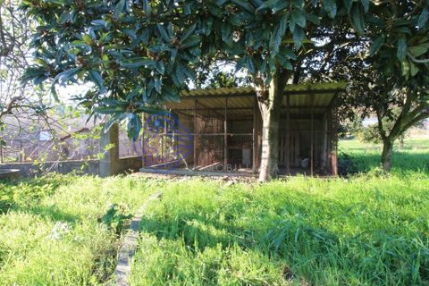 Farm i Lousada, Porto, Lousada - € 735.000 | Ref: 199521 - foto 50