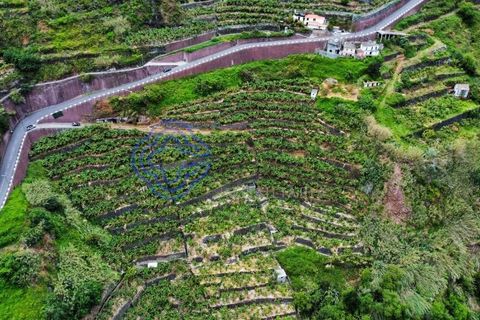 Helårsgrund i Ponta do Sol, Madeira, Ponta do Sol - € 330.000 | Ref: 1127851 - foto 1