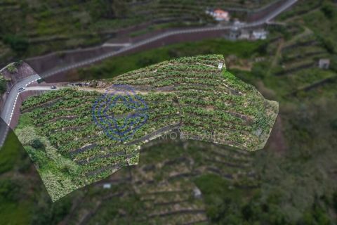 Helårsgrund i Ponta do Sol, Madeira, Ponta do Sol - € 330.000 | Ref: 1127851 - foto 2