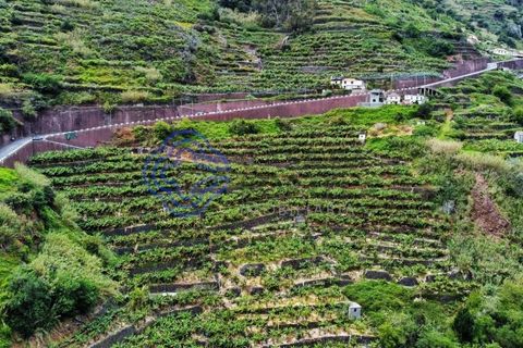 Helårsgrund i Ponta do Sol, Madeira, Ponta do Sol - € 330.000 | Ref: 1127851 - foto 3