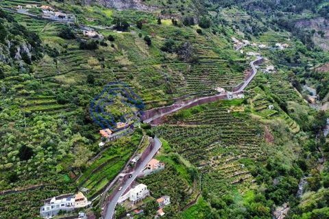 Helårsgrund i Ponta do Sol, Madeira, Ponta do Sol - € 330.000 | Ref: 1127851 - foto 5