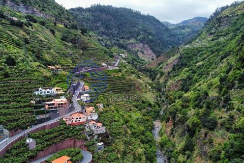 Helårsgrund i Ponta do Sol, Madeira, Ponta do Sol - € 330.000 | Ref: 1127851 - foto 6