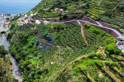 Helårsgrund i Ponta do Sol, Madeira, Ponta do Sol - € 330.000 | Ref: 1127851 - foto 7