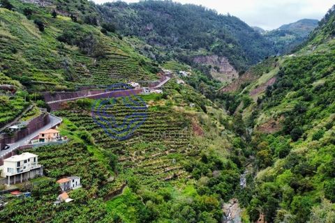 Helårsgrund i Ponta do Sol, Madeira, Ponta do Sol - € 330.000 | Ref: 1127851 - foto 8