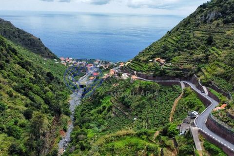 Helårsgrund i Ponta do Sol, Madeira, Ponta do Sol - € 330.000 | Ref: 1127851 - foto 9