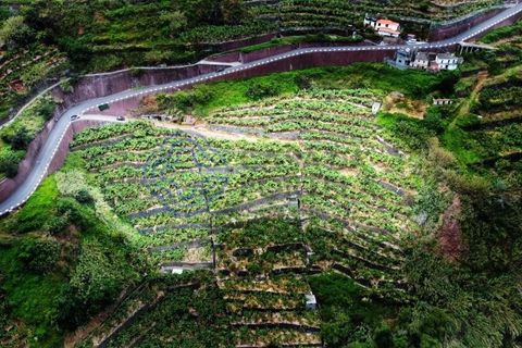 Helårsgrund i Ponta do Sol, Madeira, Ponta do Sol - € 330.000 | Ref: 1127851 - foto 10