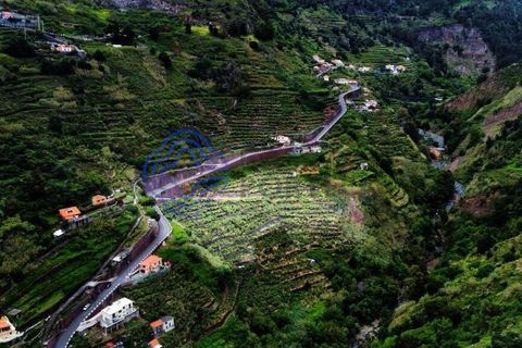 Helårsgrund i Ponta do Sol, Madeira, Ponta do Sol - € 330.000 | Ref: 1127851 - foto 11