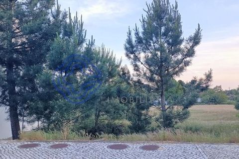 Helårsgrund i Palmela, Setubal, Palmela - € 138.000 | Ref: 1128181 - foto 4