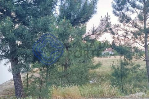 Helårsgrund i Palmela, Setubal, Palmela - € 138.000 | Ref: 1128181 - foto 8
