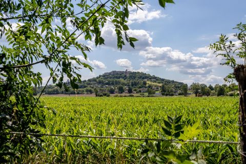 Villa - Lauzerte, Tarn-et-Garonne, Lauzerte - € 515 000 | Réf : WMC725 - photo 38