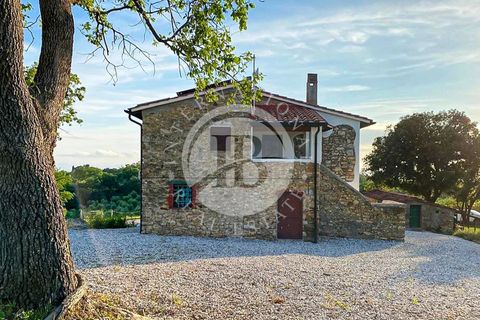 Landejendom i Suvereto, Livorno, Suvereto - € 2.500.000 | Ref: IB 835 - foto 9