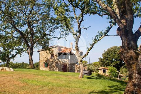 Landejendom i Suvereto, Livorno, Suvereto - € 2.500.000 | Ref: IB 835 - foto 22