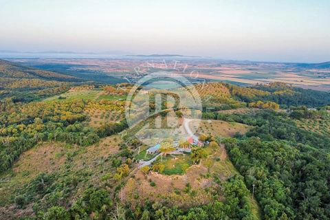 Landejendom i Suvereto, Livorno, Suvereto - € 2.500.000 | Ref: IB 835 - foto 25