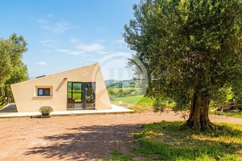 Villa a Campagnatico, Grosseto, Campagnatico - € 1.990.000 | Ref: IB 839 - foto 5