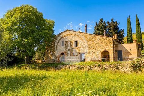 Villa a Campagnatico, Grosseto, Campagnatico - € 1.990.000 | Ref: IB 839 - foto 22