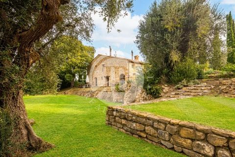 Villa a Campagnatico, Grosseto, Campagnatico - € 1.990.000 | Ref: IB 839 - foto 24