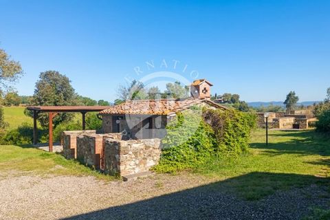 Villa a Campagnatico, Grosseto, Campagnatico - € 1.690.000 | Ref: IB 840 - foto 5