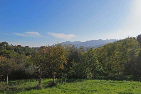 Farm hus i Pontremoli, Massa and Carrara, Pontremoli - € 790.000 | Ref: A7879TA2563921A-1115658 - foto 14
