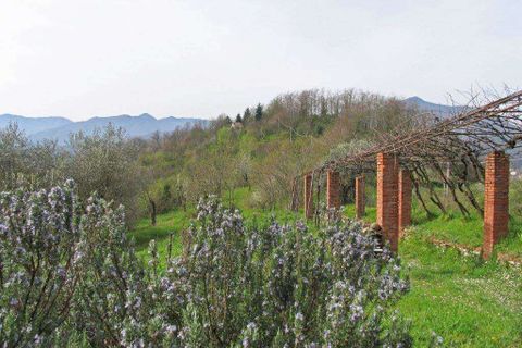 Farm hus i Pontremoli, Massa and Carrara, Pontremoli - € 790.000 | Ref: A7879TA2563921A-1115658 - foto 19