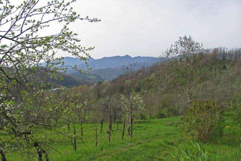 Farm hus i Pontremoli, Massa and Carrara, Pontremoli - € 790.000 | Ref: A7879TA2563921A-1115658 - foto 21