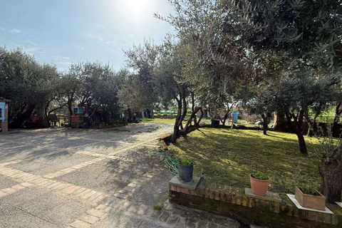 Farm hus i Buggiano, Pistoia, Buggiano - € 450.000 | Ref: A6551TA2562978A-1115868 - foto 29