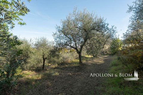 Byhus i Sinalunga, Siena, Sinalunga - € 699.000 | Ref: SIN3438-1132329 - foto 37