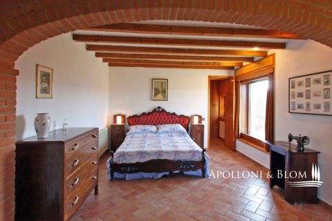 Masia a Sinalunga, Siena, Sinalunga - € 2.500.000 | Ref: SIN3636-1132524 - foto 16