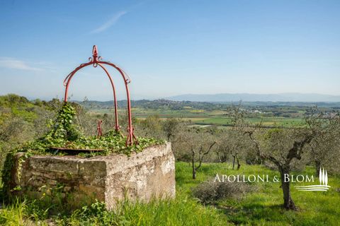 Farm hus i Sinalunga, Siena, Sinalunga - € 740.000 | Ref: SIN3650-1132556 - foto 25