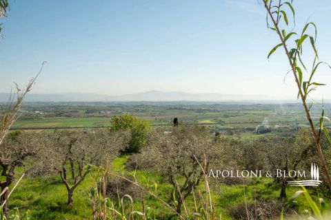 Farm hus i Sinalunga, Siena, Sinalunga - € 740.000 | Ref: SIN3650-1132556 - foto 31