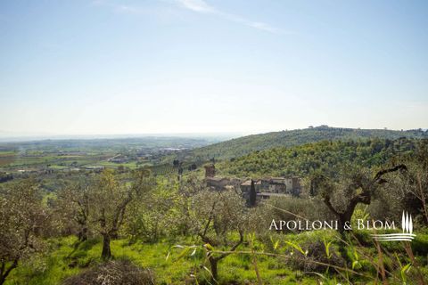 Farm hus i Sinalunga, Siena, Sinalunga - € 740.000 | Ref: SIN3650-1132556 - foto 32