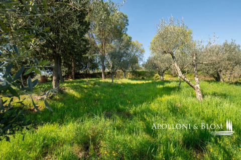 Farm hus i Sinalunga, Siena, Sinalunga - € 740.000 | Ref: SIN3650-1132556 - foto 34