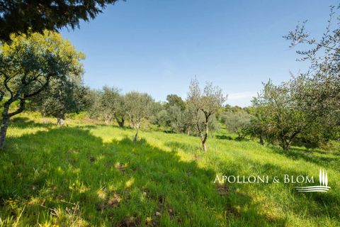 Farm hus i Sinalunga, Siena, Sinalunga - € 740.000 | Ref: SIN3650-1132556 - foto 35