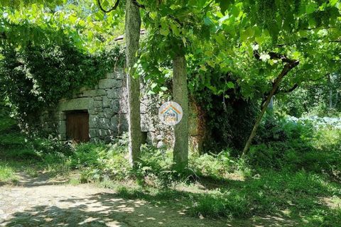 Farm i Arouca, Aveiro, Arouca - € 80.000 | Ref: 1TC4238 - foto 1