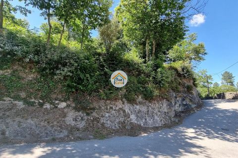 Farm i Arouca, Aveiro, Arouca - € 80.000 | Ref: 1TC4238 - foto 3