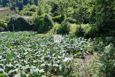 Farm i Arouca, Aveiro, Arouca - € 80.000 | Ref: 1TC4238 - foto 6