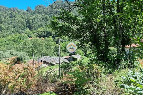 Farm i Arouca, Aveiro, Arouca - € 80.000 | Ref: 1TC4238 - foto 7