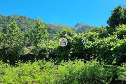 Farm i Arouca, Aveiro, Arouca - € 80.000 | Ref: 1TC4238 - foto 12
